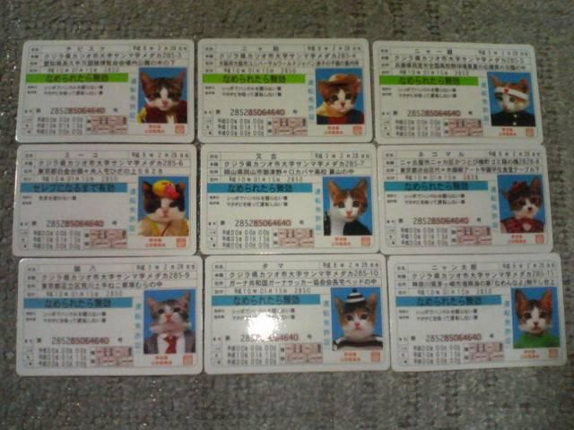 トレカ なめねこカードガム 2弾 なめんなよ ノーマル 18枚セット < トレーディングカード トレカ なめねこカードガム 2弾 なめんなよ ノーマル 18枚セット < トレーディングカードの