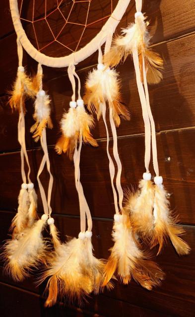 h[Lb`[a22cmS60cm^TCYx[WCeAIuWFVigp  CeA/Ct 