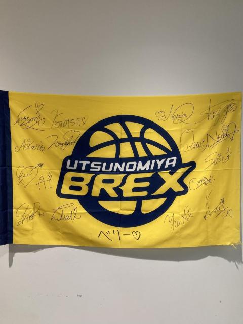 yzBREXY MTCuBREXYptH[}Xgp tbO CG[v 