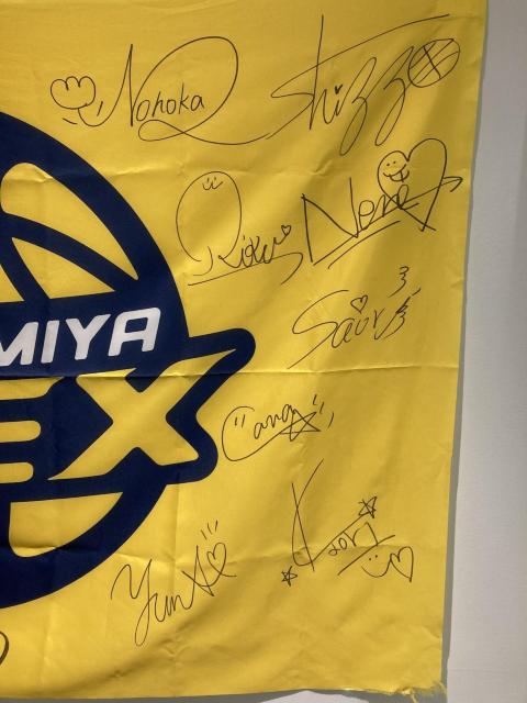 yzBREXY MTCuBREXYptH[}Xgp tbO CG[v