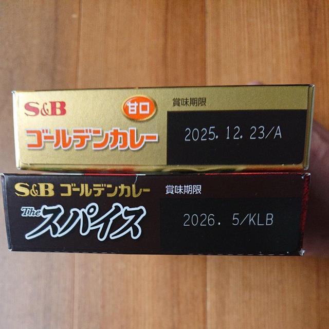 GXr[ S[fJ[ Ì2 XpCX1 J[[