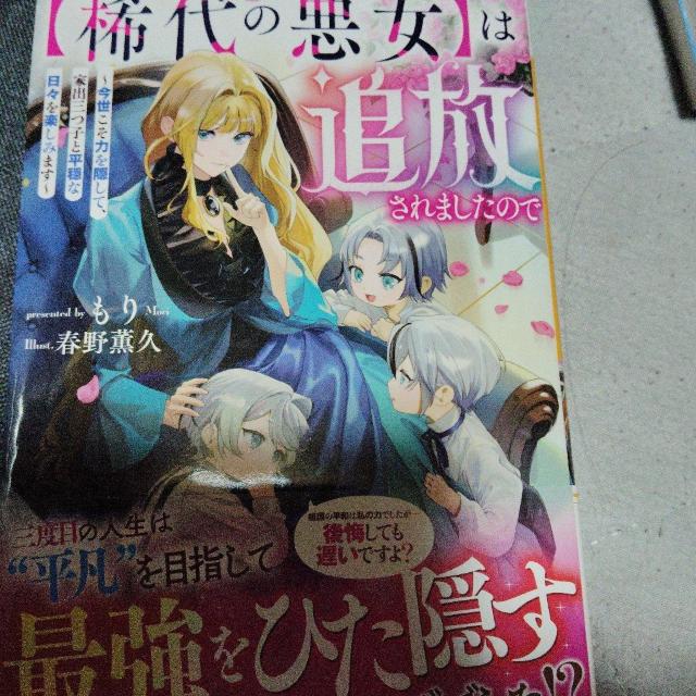 �H��̈����͒Ǖ�����܂����̂�  �� �{/�G���� 