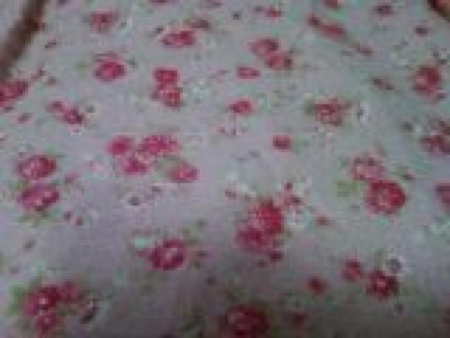 szLIZLISAg҃~t{ӂ(////)