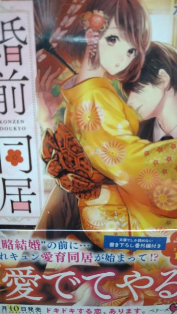 婚前同居〜イジワル御曹司とひとつ屋根の下★水守恵蓮★ベリーズ文庫 < 本/雑誌 婚前同居〜イジワル御曹司とひとつ屋根の下★水守恵蓮★ベリーズ文庫 < 本/雑誌の