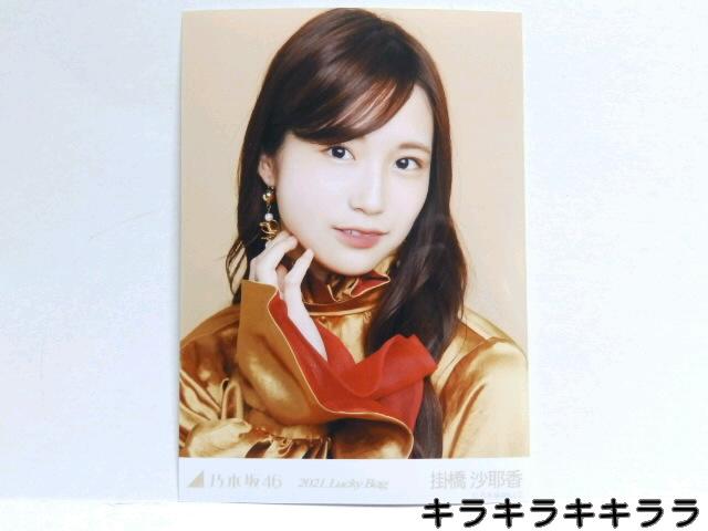 sNewtT؍46/|덁2021N*Lucky Bag[ʐ^]   ^gObY 