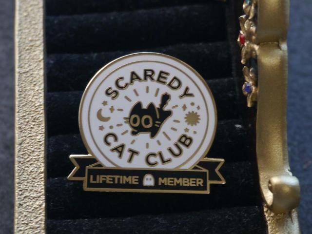 Vi@SCAREDY CAT CLUB su[`@sobW@sY  ANZT[/v 