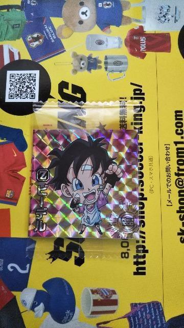 �h���S���{�[���E�G�n�[�X  �� �z�r�[�� 