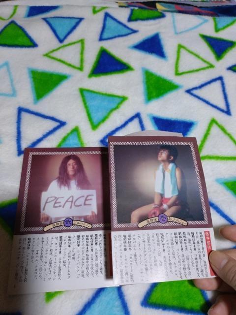 明星9月号付録 チェッカーズ ミニ冊子 難あり < タレントグッズ  明星9月号付録 チェッカーズ ミニ冊子 難あり < タレントグッズの