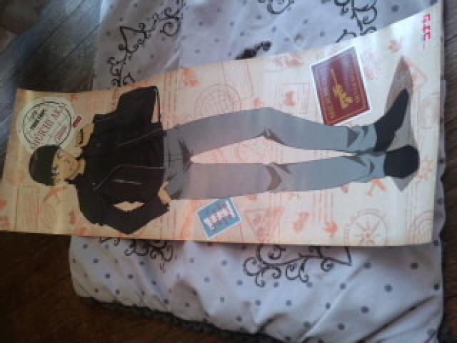 名探偵コナン 赤井秀一 スティックポスター < アニメ/コミック/キャラクター  名探偵コナン 赤井秀一 スティックポスター  < アニメ/コミック/キャラクターの