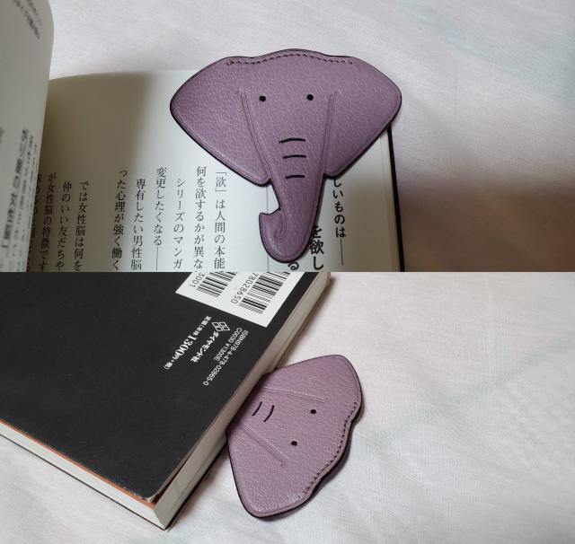 K Gx Gt@g ubN}[J[ Aj}A[gNbv A}\iS tU[]E   uh 