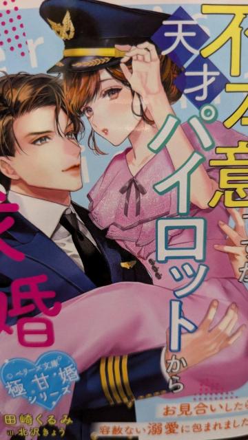 s{ӂłV˃pCbg狁Ă܂c肭݁x[Y   {/G 