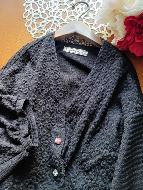 scolar/J[fBKt[[V[ȐViubNJ[fBK 