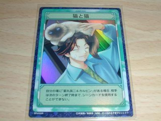 ejX̉qlgJ@RUSH&DREAMA`LƔLieہj   g[fBOJ[h 