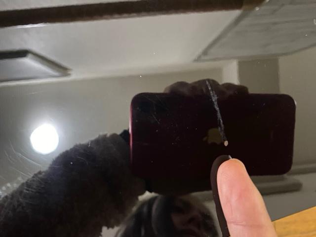 KRIPTON スピーカーシステム KX-3P 2本 < 家電/AV KRIPTON スピーカーシステム KX-3P 2本 < 家電/AVの