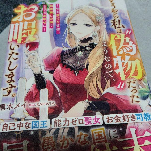 ǂ玄͋U悤Ȃ̂ŁAɂ܂B   {/G 