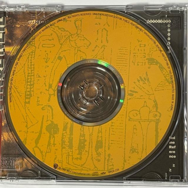 VINCE NEIL / CARVED IN STONE �� CD/DVD/�r�f�I�� 