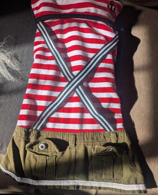 ���^���p���@�X�J�[�g�t���@XL  �� �y�b�g/��|/���|�� 