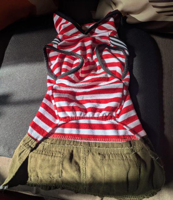 ���^���p���@�X�J�[�g�t���@XL �� �y�b�g/��|/���|�� 