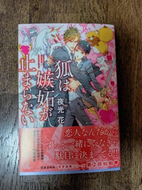 �P���V���@�@�ς͎��i���~�܂�Ȃ��`�ň��ꑮ�`�@�@�����/�}�䂠���  �� �{/�G���� 