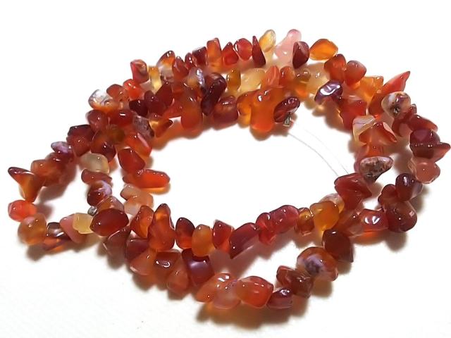 �V�R�΁��J�[�l���A���@������@�P�A  �� �����A�N�Z�T���[/���v�� 