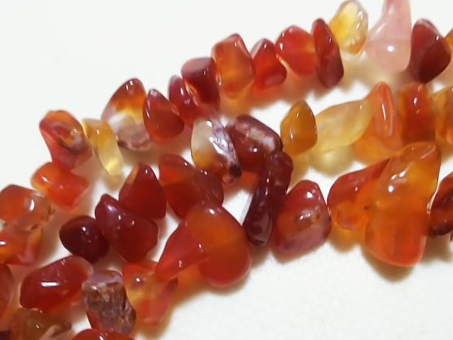 �V�R�΁��J�[�l���A���@������@�P�A �� �����A�N�Z�T���[/���v�� 