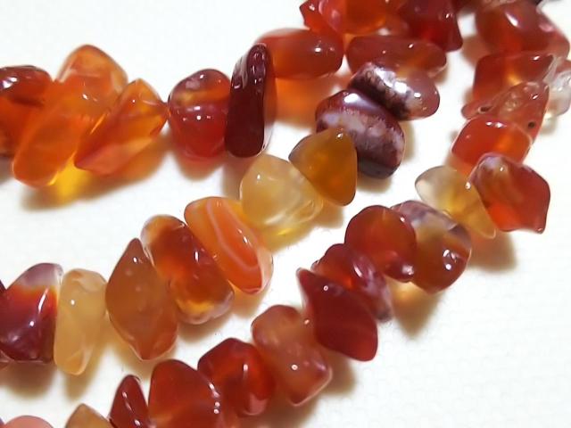 �V�R�΁��J�[�l���A���@������@�P�A �� �����A�N�Z�T���[/���v�� 