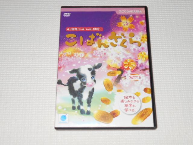 DVD΂񂴂 DVDق ^p   CD/DVD/rfI 