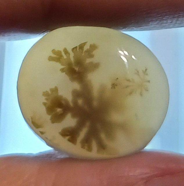 デンドライトアゲート デンドリティックアゲート 瑪瑙ルース < ペット/手芸/園芸  デンドライトアゲート デンドリティックアゲート 瑪瑙ルース  < ペット/手芸/園芸の