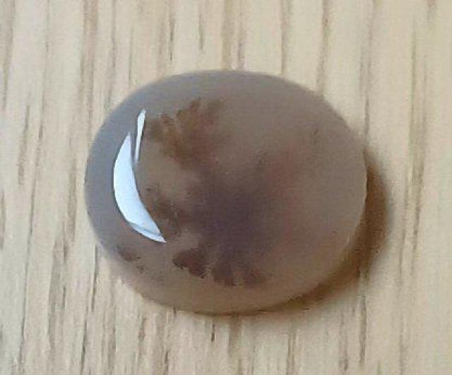 デンドライトアゲート デンドリティックアゲート 瑪瑙ルース < ペット/手芸/園芸  デンドライトアゲート デンドリティックアゲート 瑪瑙ルース < ペット/手芸/園芸の