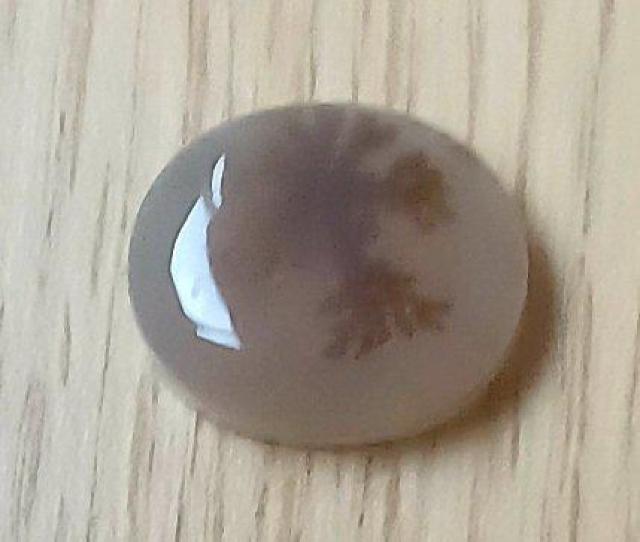 デンドライトアゲート デンドリティックアゲート 瑪瑙ルース < ペット/手芸/園芸  デンドライトアゲート デンドリティックアゲート 瑪瑙ルース < ペット/手芸/園芸の