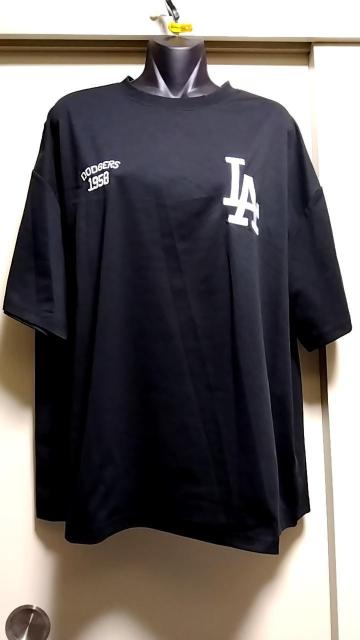 ��LA�h�W���[�X�h�J���S�s�V���c���V�i�^�O�t���k