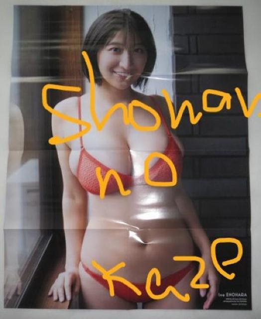 爆乳アイドル「榎原依那」の最新ビキニ水着両面ポスター < タレントグッズ  爆乳アイドル「榎原依那」の最新ビキニ水着両面ポスター < タレントグッズの