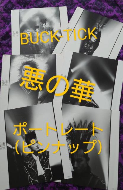 BUCK-TICK@̉؁@ptbg@~j|X^[@؂蔲  ^gObY 
