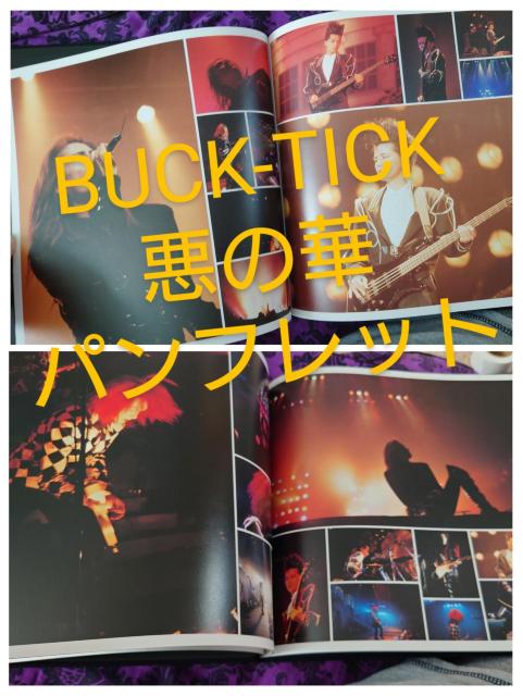 BUCK-TICK@̉؁@ptbg@~j|X^[@؂蔲  ^gObY 