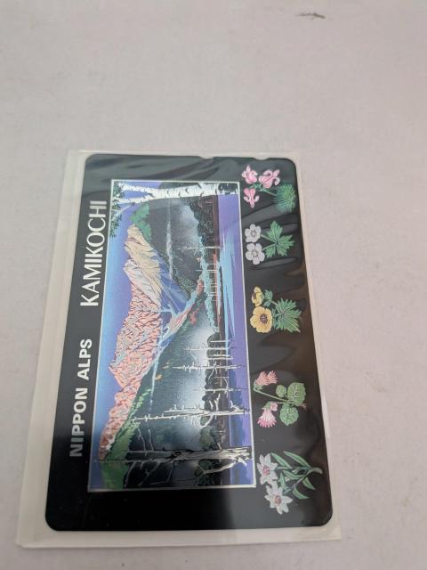 ���y�Y�e���z���J�[�h  �� �`�P�b�g/������ 