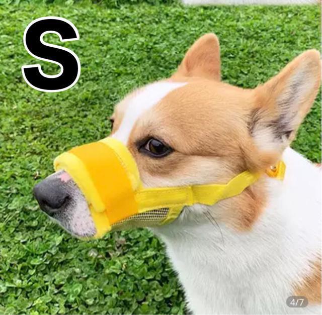 犬用 口輪 イエローS < ペット/手芸/園芸  犬用 口輪 イエローS  < ペット/手芸/園芸の