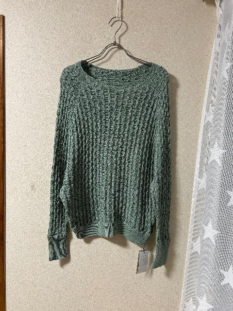 1.5Vi^OtsophilaRbg҂݃jbg 