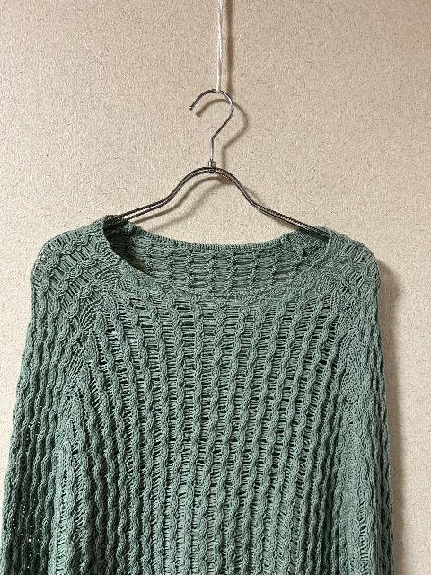 1.5Vi^OtsophilaRbg҂݃jbg