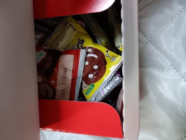 sƂ̃Jg[}AARRA  O/hN 