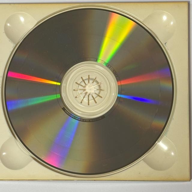 More Than Paradise!! �� CD/DVD/�r�f�I�� 