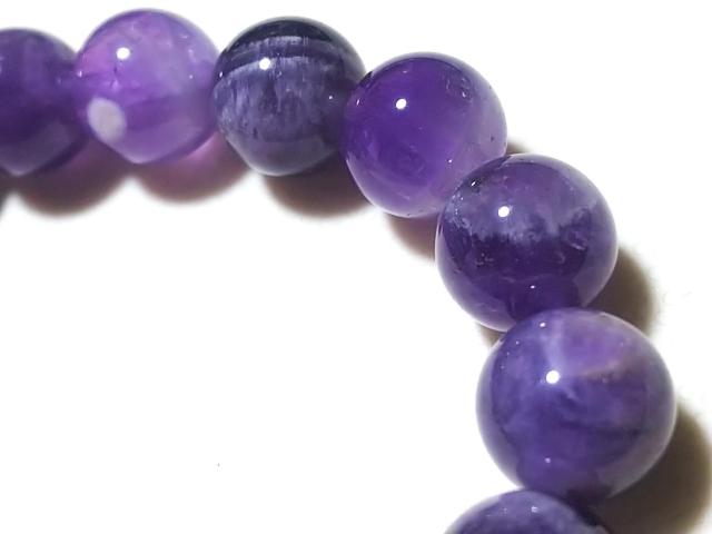 �V�R�΁��V�F�u�����A���W�X�g�@�P�O�����@�u���X �� �����A�N�Z�T���[/���v�� 