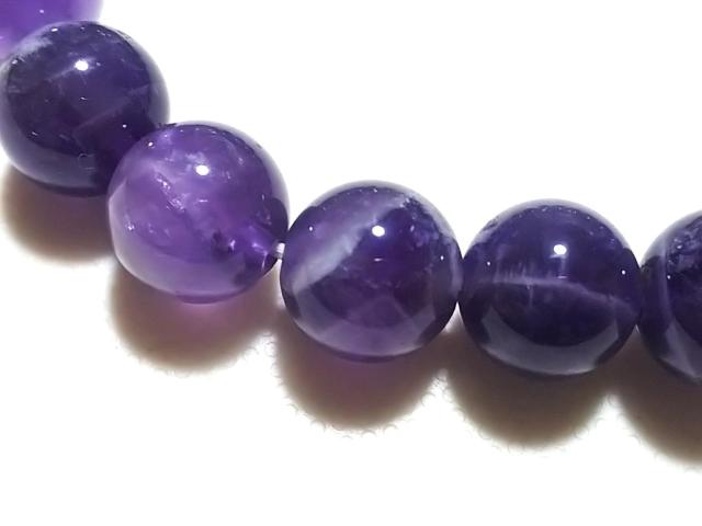 �V�R�΁��V�F�u�����A���W�X�g�@�P�O�����@�u���X �� �����A�N�Z�T���[/���v�� 