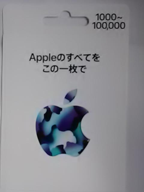 Apple�J�[�h1000�~���V�i  �� �`�P�b�g/������ 