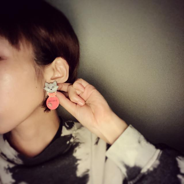 HMFancy􂨂܂ O[L lR ˂ {  bZ[W sAX  ANZT[/v 