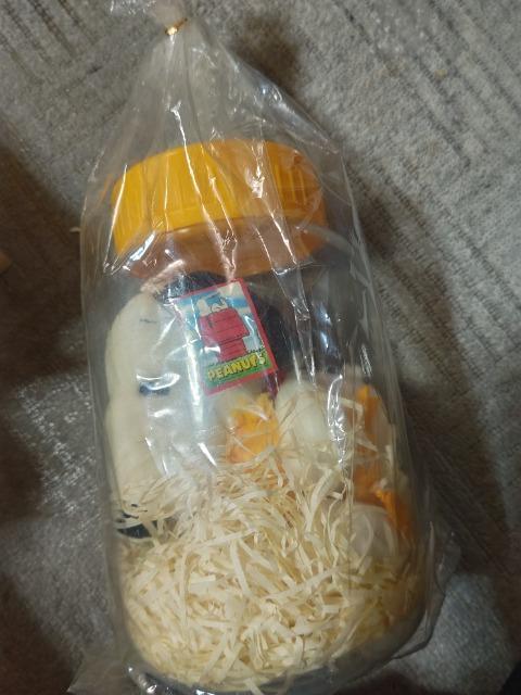 スヌーピー 哺乳瓶型貯金箱 ぬいぐるみ付 未使用 < アニメ/コミック/キャラクター スヌーピー 哺乳瓶型貯金箱 ぬいぐるみ付 未使用 < アニメ/コミック/キャラクターの