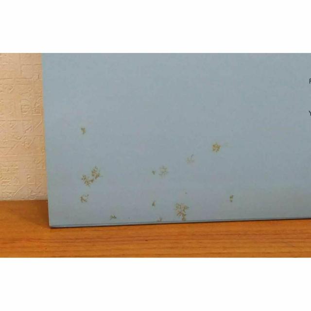 yzLP(т):CJ ȋ CJ̉̂͐ŜɐЂ낰܂  CD/DVD/rfI 