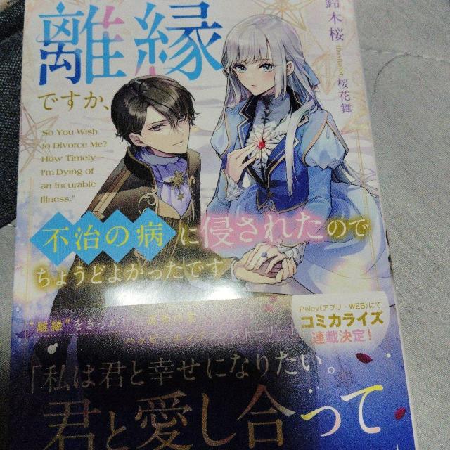 �����ł����A�s���̕a�ɐN���ꂽ�̂ł��傤�ǂ悩�����ł�  �� �{/�G���� 