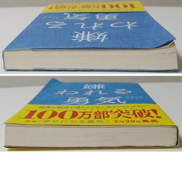 2冊 岸見一郎 嫌われる勇気 自己啓発の源流 アドラーの教え ブースケとパンダの英語でスパイ大作戦 人間関係 自己啓発 心理学 < 本/雑誌 2冊 岸見一郎 嫌われる勇気 自己啓発の源流 アドラーの教え ブースケとパンダの英語でスパイ大作戦 人間関係 自己啓発 心理学 < 本/雑誌の