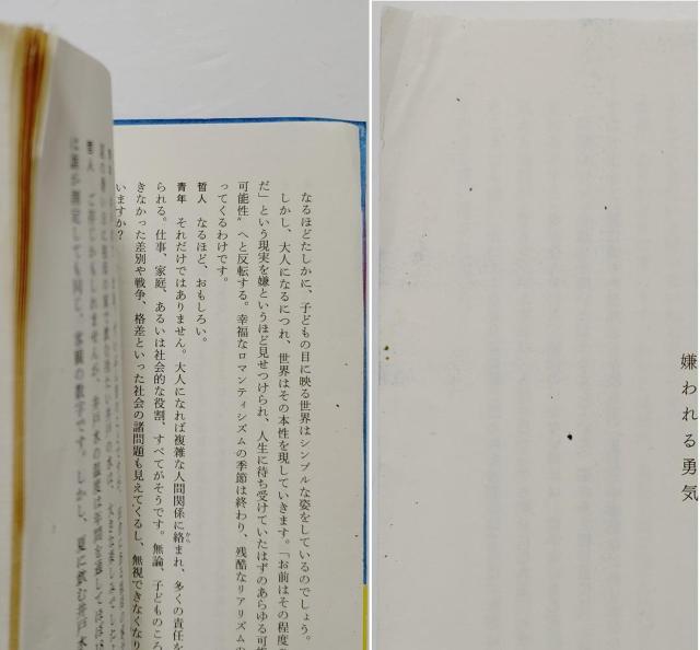 2冊 岸見一郎 嫌われる勇気 自己啓発の源流 アドラーの教え ブースケとパンダの英語でスパイ大作戦 人間関係 自己啓発 心理学 < 本/雑誌 2冊 岸見一郎 嫌われる勇気 自己啓発の源流 アドラーの教え ブースケとパンダの英語でスパイ大作戦 人間関係 自己啓発 心理学 < 本/雑誌の