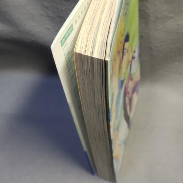 ランドリオール Landreaall 12 おがきちか < アニメ/コミック/キャラクター ランドリオール Landreaall 12 おがきちか < アニメ/コミック/キャラクターの